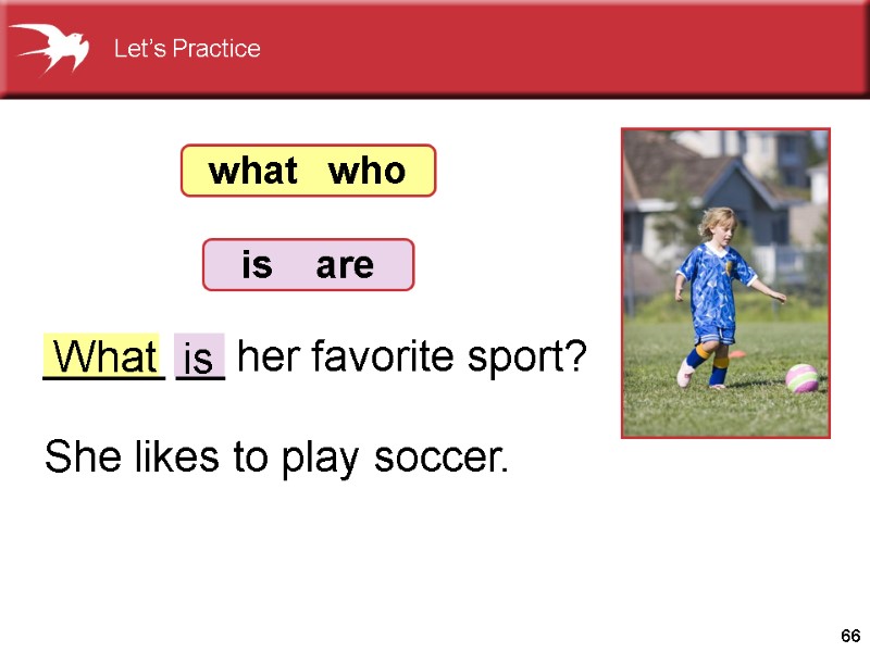 66 What _____ __ her favorite sport?  She likes to play soccer. is